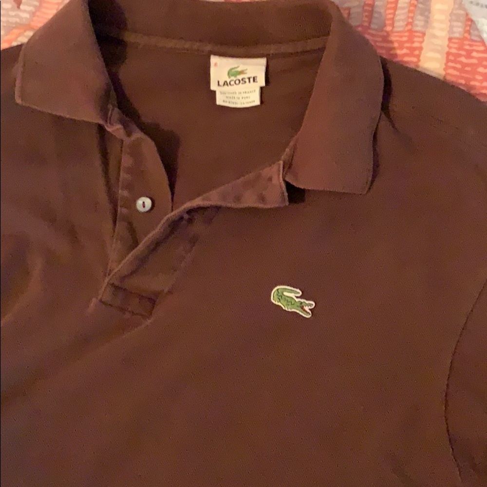 Brown Lacoste Polo